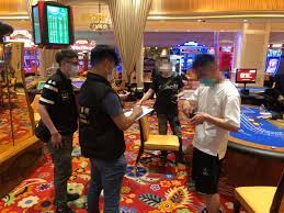 白菜社区的博彩技巧：如何制定合理的投注计划？-百家乐技巧-百家乐策略-百家乐论坛